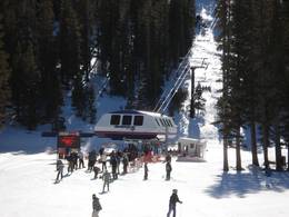 Northwest Magnum 6