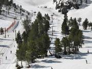 Els Marrecs - J-bar