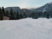 View of the ski slope of Ohlstadt