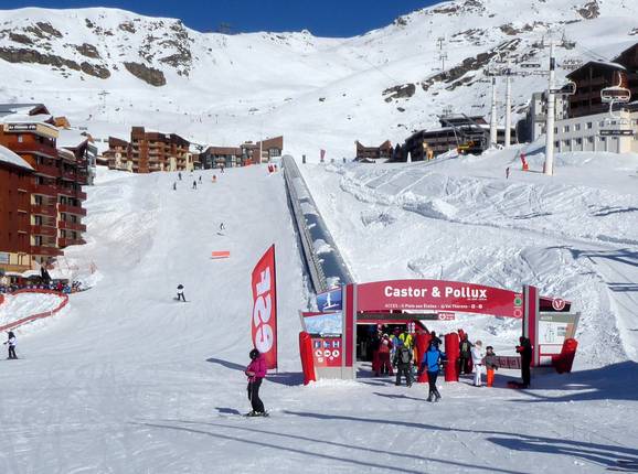 Castor
