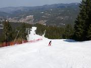 Mechi Chal slope