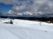 Beginner area in Falls Creek