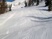 Top slope grooming