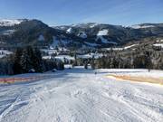 Grenzwiesen slope