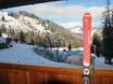 Almpartments Rosengasse