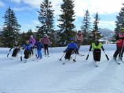 Mauro Bernardi - the first ski instructor for handicapped skiers in Italy - with his group