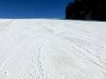 Slopes Todtnauberg
