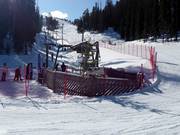 Pessari - T-bar