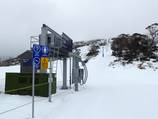 Blue Cow T-Bar