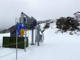 Blue Cow T-Bar