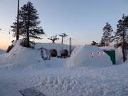 Polar Bar