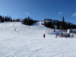 Ruka