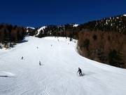 Seenock Sunny Slope