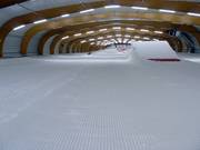 Groomed slope in the Ice Mountain ski hall