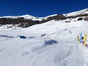 Snowpark Twenty