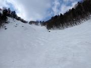 Mogul slope Premium Zone