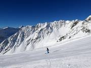 Alblittkopf run