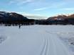 Cross-country skiing Dolomites – Cross-country skiing Kronplatz (Plan de Corones)