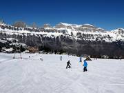Easy slopes at the Schwammkopf and Tannenboden drag lifts