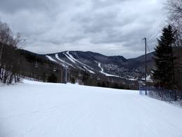 Stoneham
