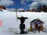 Owl T-Bar - T-bar