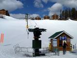 Owl T-Bar Owl T-Bar