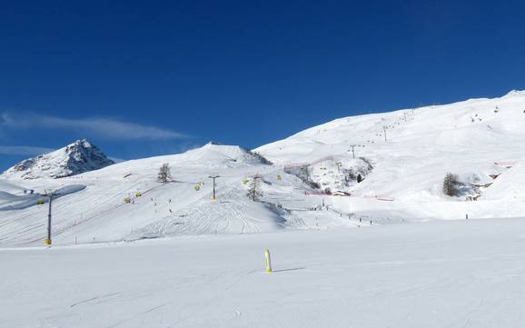 Skiing in the Bernina Range