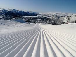 Hovden