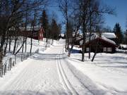 Trail in the valley area