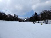 Easy slope Prince
