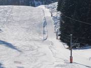 Lac - J-bar