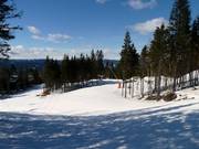 Typical forest runs in Oslo Vinterpark