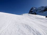 Slope Mittelegg