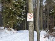 Entering the forest is prohibited