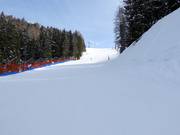 Intermediate slope Buffaure di sotto