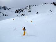 Curvey Trail slope