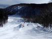 Snow parks Asia – Snow park Niseko United – Annupuri/Grand Hirafu/Hanazono/Niseko Village