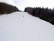 FIS slalom run