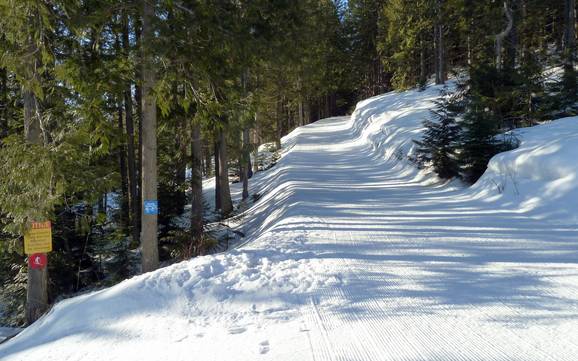 Cross-country skiing Lizard Range – Cross-country skiing Fernie