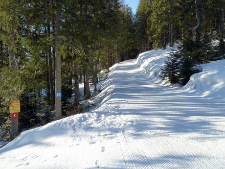 Cross-country skiing Canadian Rockies – Cross-country skiing Fernie