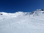Powder slopes in Captains Basin