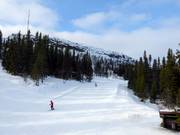 Easy slope in the Funäsdalsberget ski area