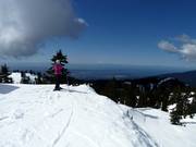 View from the top station of the Mystery Peak Express