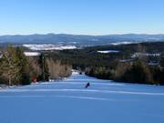 Men's downhill