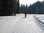 Trail at the Bleamlalm