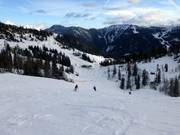 Descent in the tree line area down to the Powder Shuttle