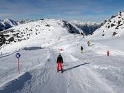 Hochzeiger Funline