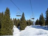 Coston-Monte Coston