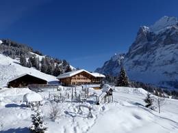 First – Grindelwald