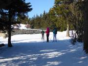 Cross-country skiers in the Černá hora ski area